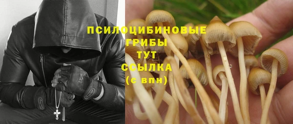 герыч Каменногорск