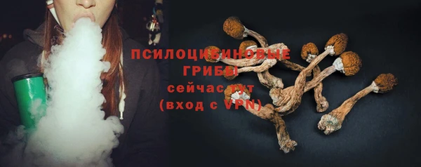 герыч Каменногорск