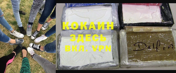 ALPHA-PVP Каменка